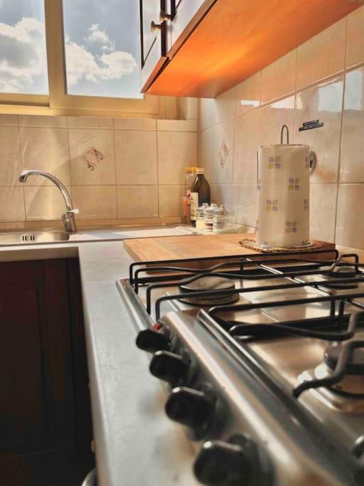 Panoramic 7 Apartment Turin Bagian luar foto